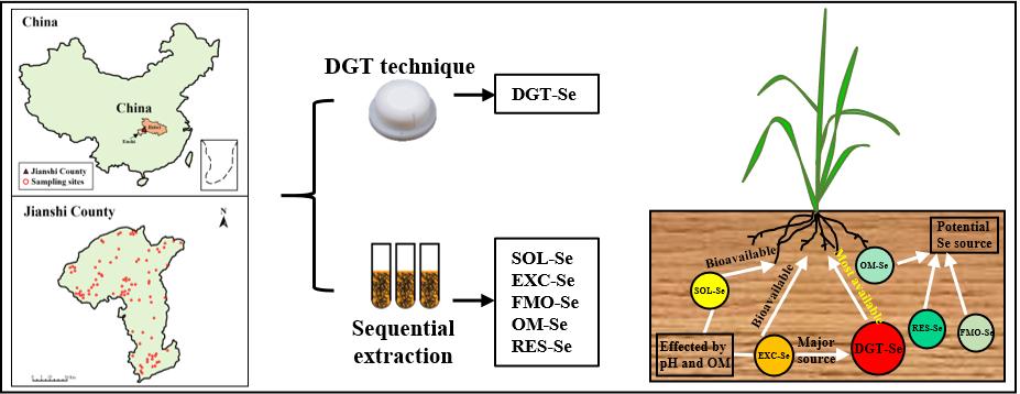 基于传统连续浸提方法和DGT技术对大量天然富硒土壤样品进行了分析，明确了恩施土壤硒生物有效性差异及其关键影响因素