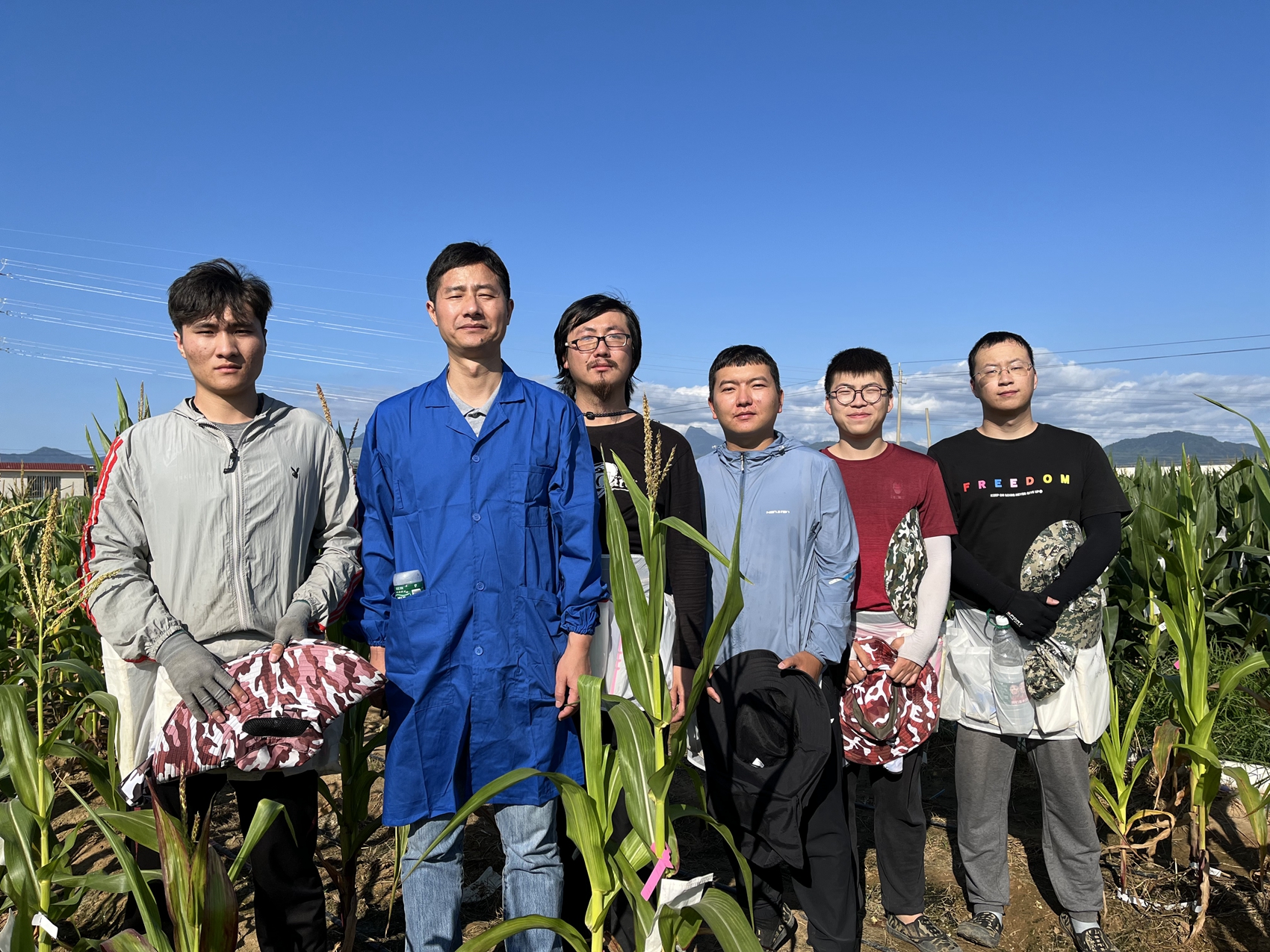 代明球教授在海南南繁基地