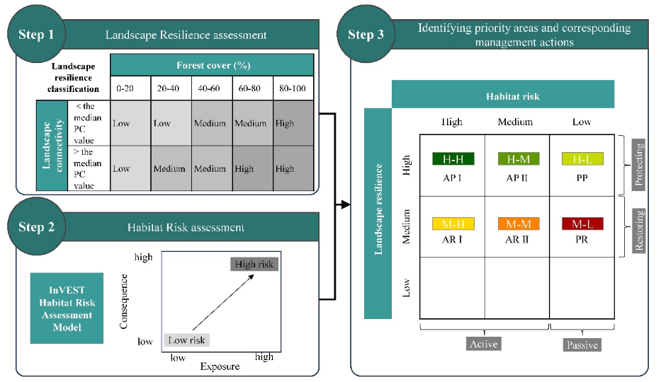 基于景观韧性和生境风险评估的森林保护与修复规划框架