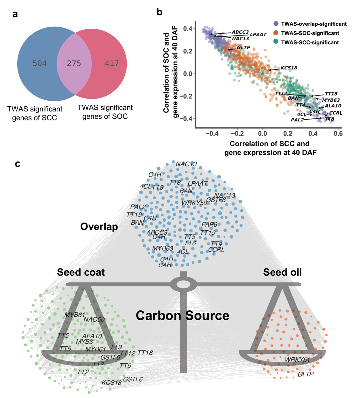 TWAS显著基因在油菜种子的碳源分配存在平衡