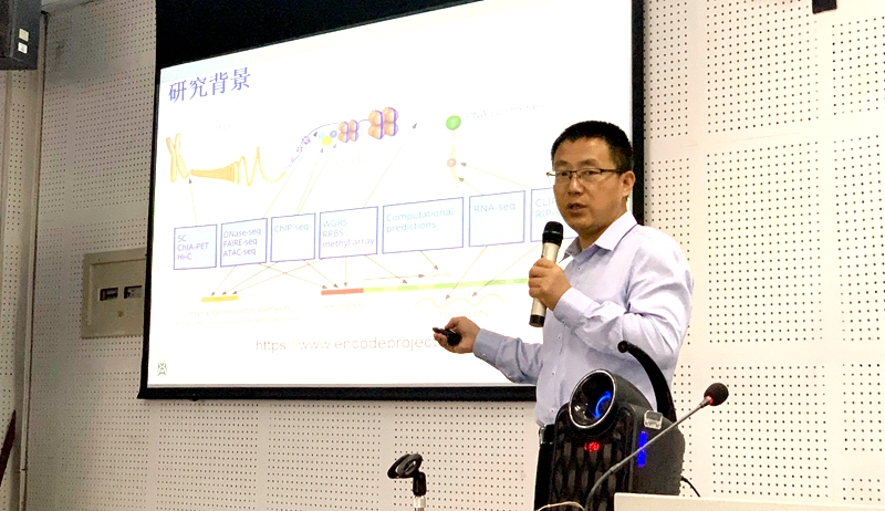 李国亮教授在塔里木大学作报告（信息学院 供图）