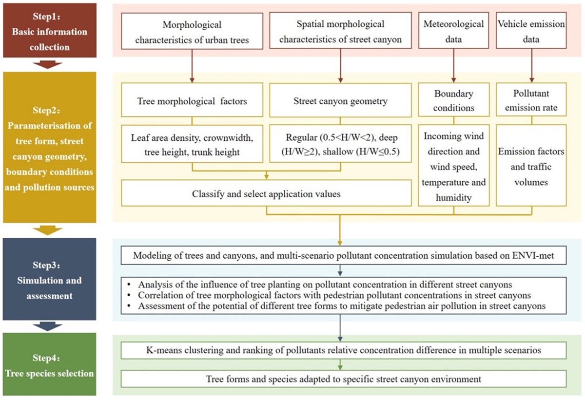 图1. 降低街谷人行道空气污染物积聚的树种选择技术框架
