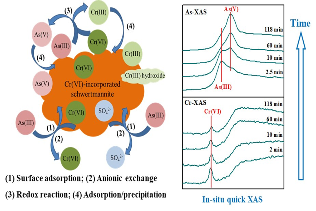 图3 含Cr(VI)施氏矿物界面As(III)的吸附-氧化行为
